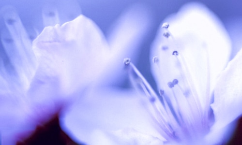 新学期开学励志语录 新学期开学励志语录